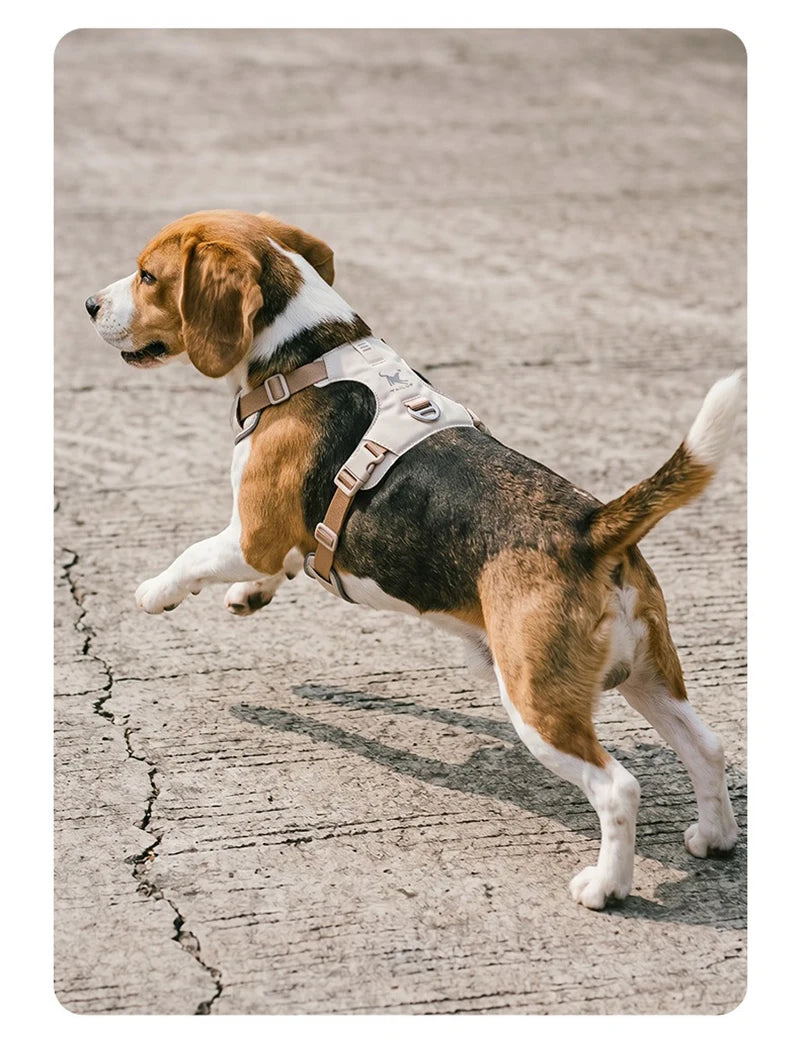 Lightweight Dog Harness & Leash Set Anti-Pull Escape-Proof Pet Walking Lead for Small Medium Large Dogs