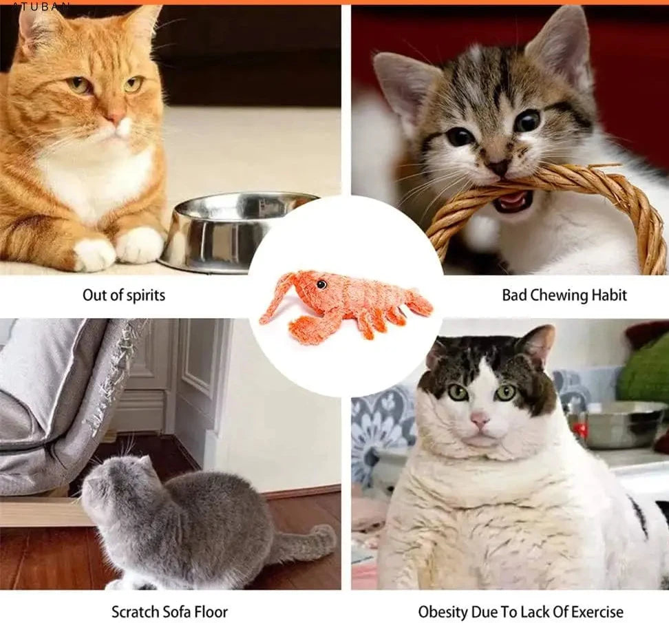 Jouet interactif électrique sauteur pour chat avec herbe à chat