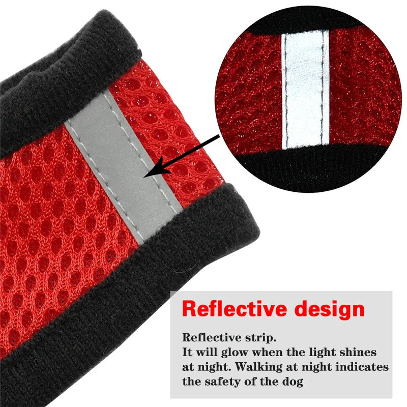 Breathable Mesh Vest Harness & Lead Set for Small to Medium Cats and Dogs