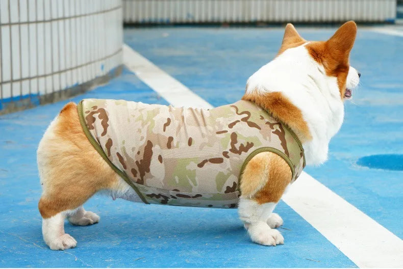 Mesh Cooling Vest & Sun Hat Set for Dogs