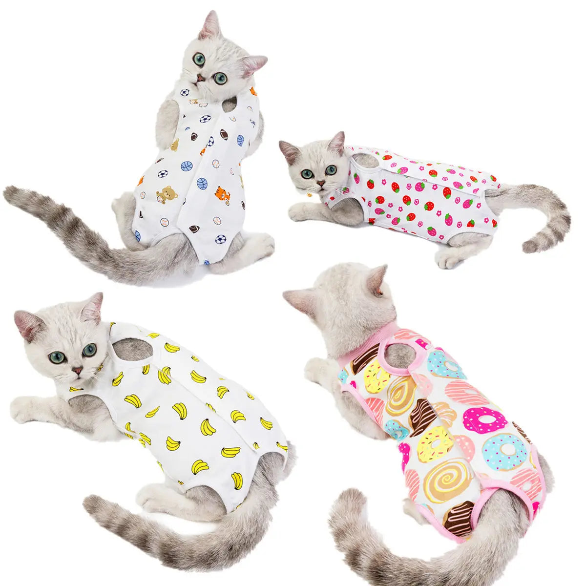 Combinaison de récupération post-opératoire pour chats et petits chiens