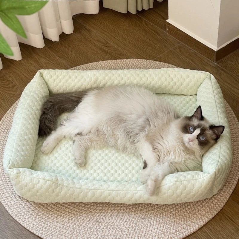 Lit Rafraîchissant pour Animaux - Chats & Petits Chiens