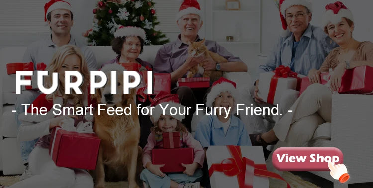 Smart Automatic Pet Feeder with Camera