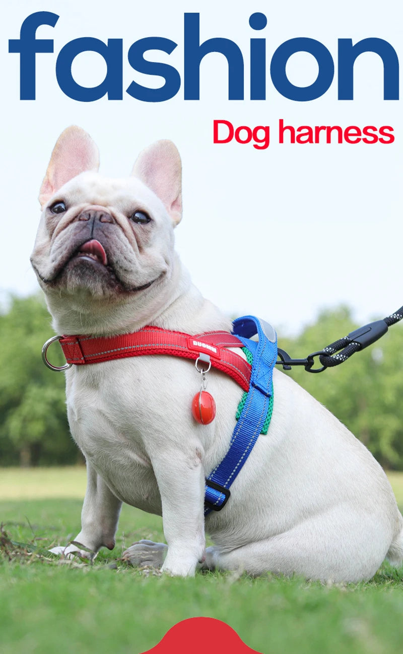 Saddle-Style Padded Dog Harness Vest