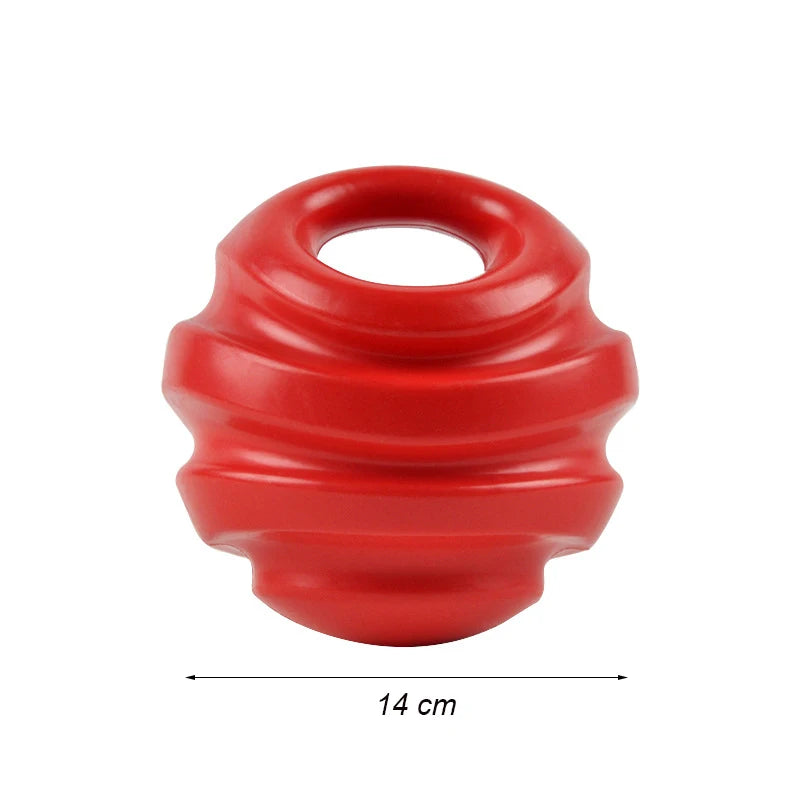 Bite-Resistant Chew Toys for Dogs