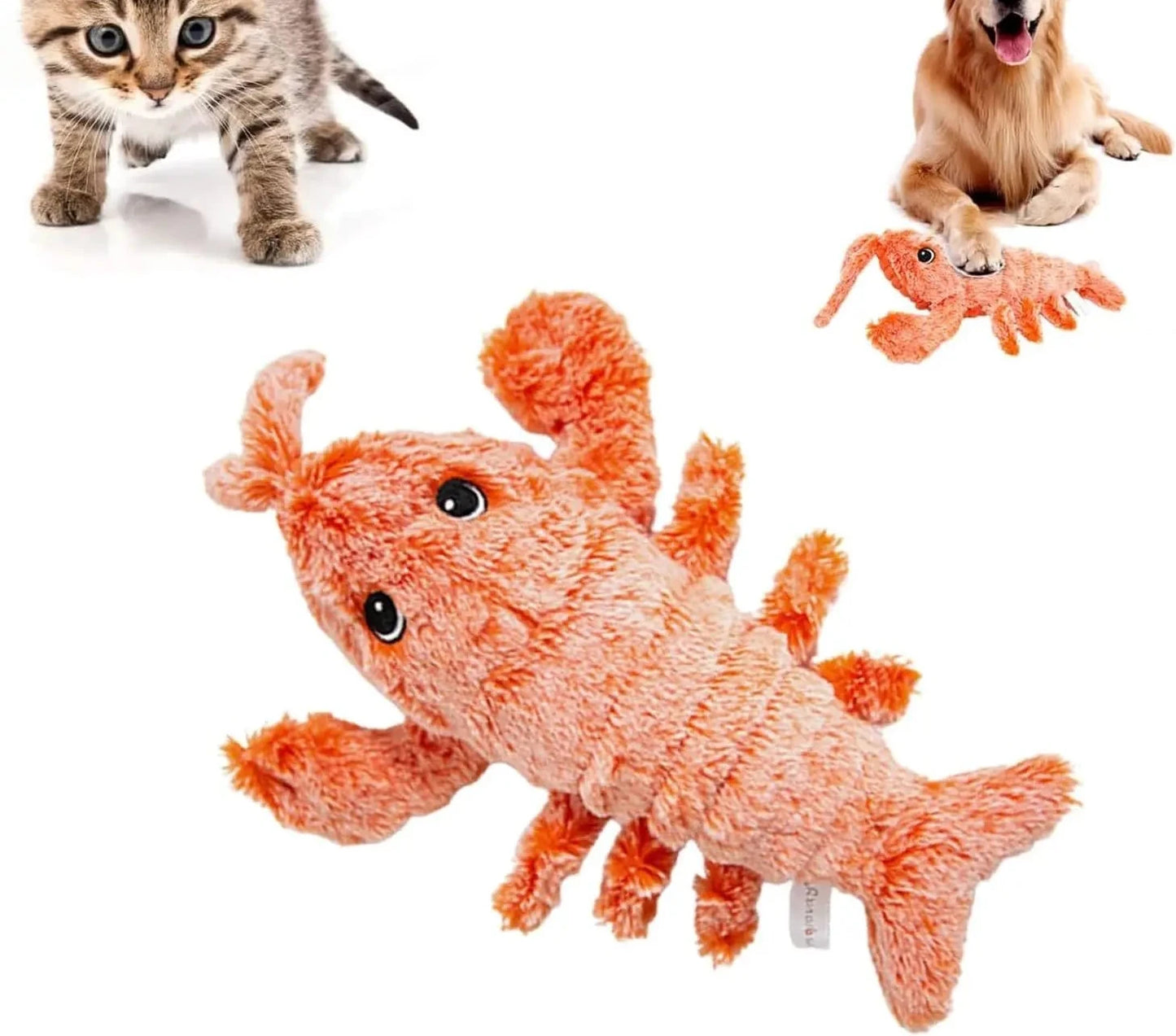 Jouet interactif pour chat homard vibrant avec herbe à chat