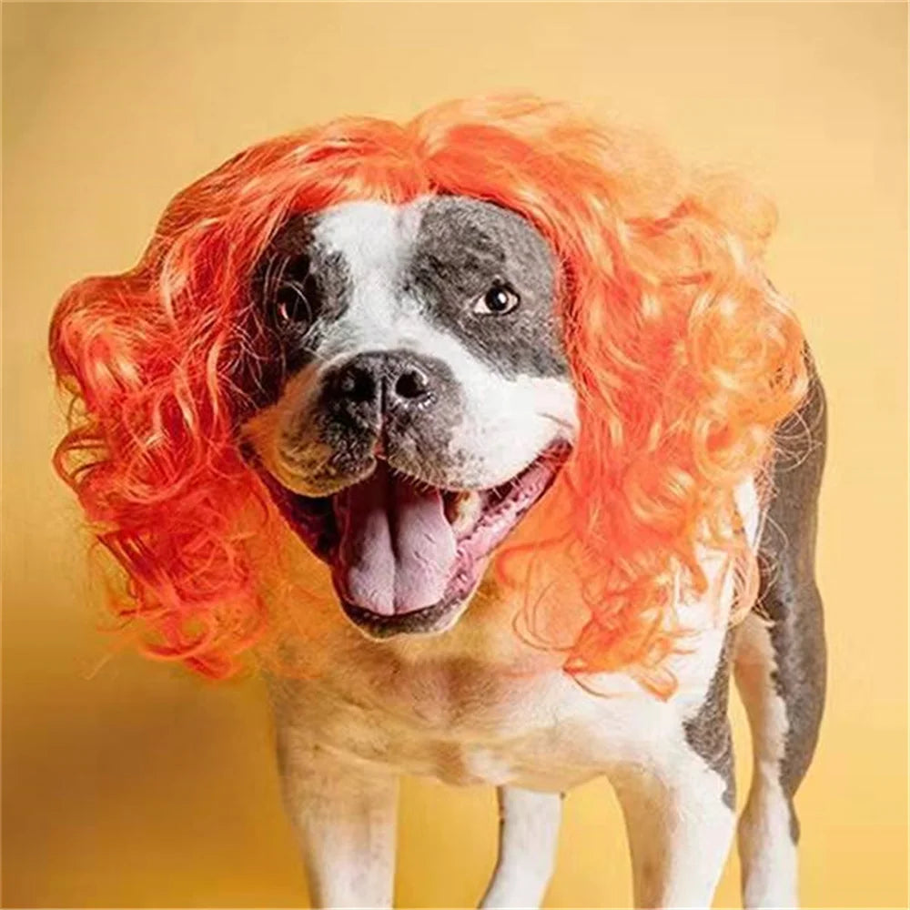 Novelty Faux Fur Wig Hat for Dogs & Cats