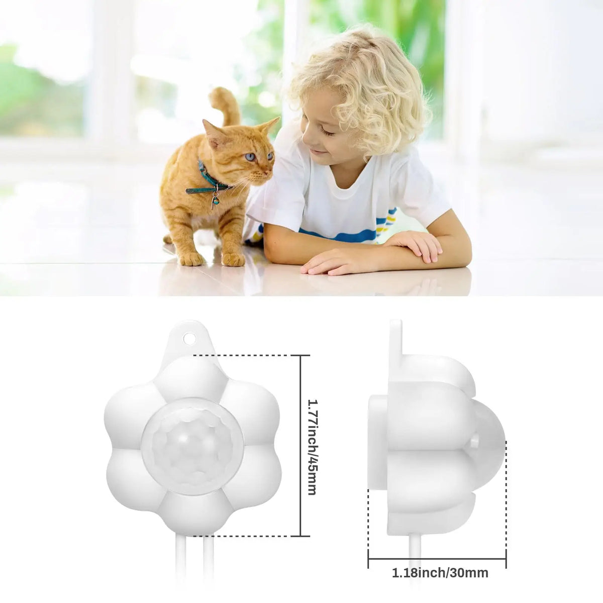 Motion Sensor Pet Water Fountain with Infrared Detector & Filter | USB Powered