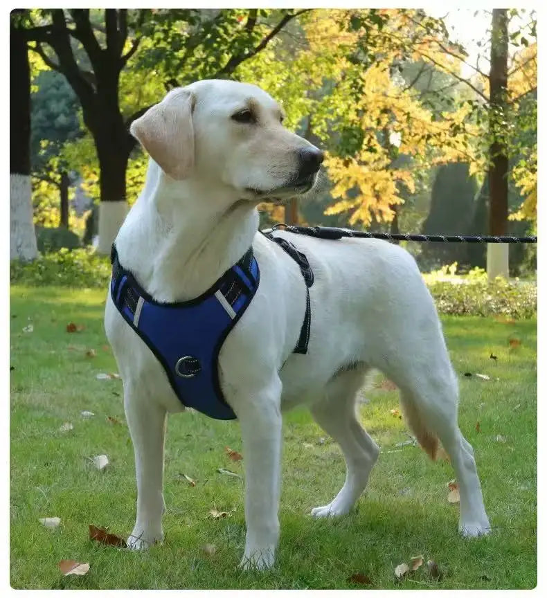 Reflective No-Pull Dog Vest Harness with Name Card