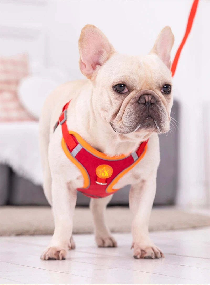 Reflective Soft Mesh Dog Harness with Dual Lead Hooks – No-Pull Vest for Small & Medium Dogs