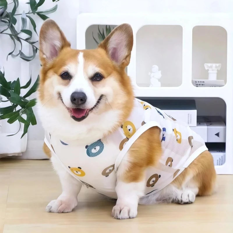 Breathable Mesh Cooling Vest for Dogs
