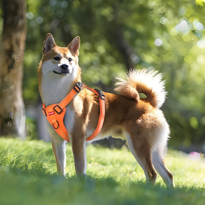 Soft Padded No-Pull Dog Harness with Easy Control Handle