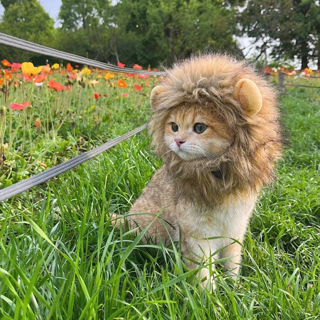 Lion Mane Pet Costume for Dogs and Cats