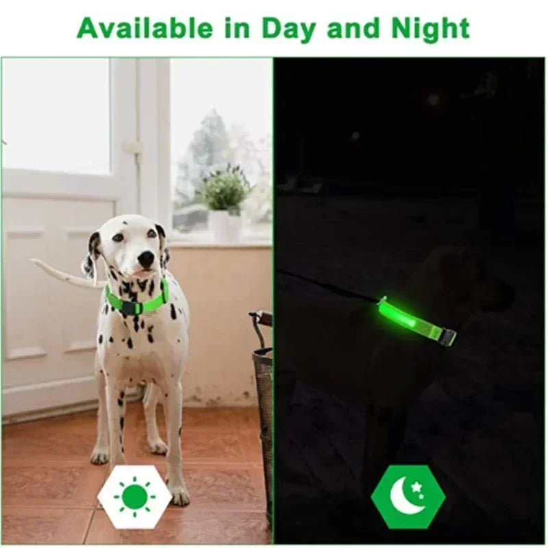 Collier lumineux LED pour chien - Réglable, clignotant, rechargeable - Collier lumineux pour la sécurité nocturne - Harnais lumineux anti-perte pour chien