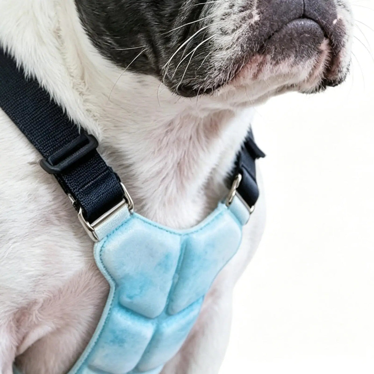 Lightweight Dog Cooling Harness Vest for Walking, Camping & Training