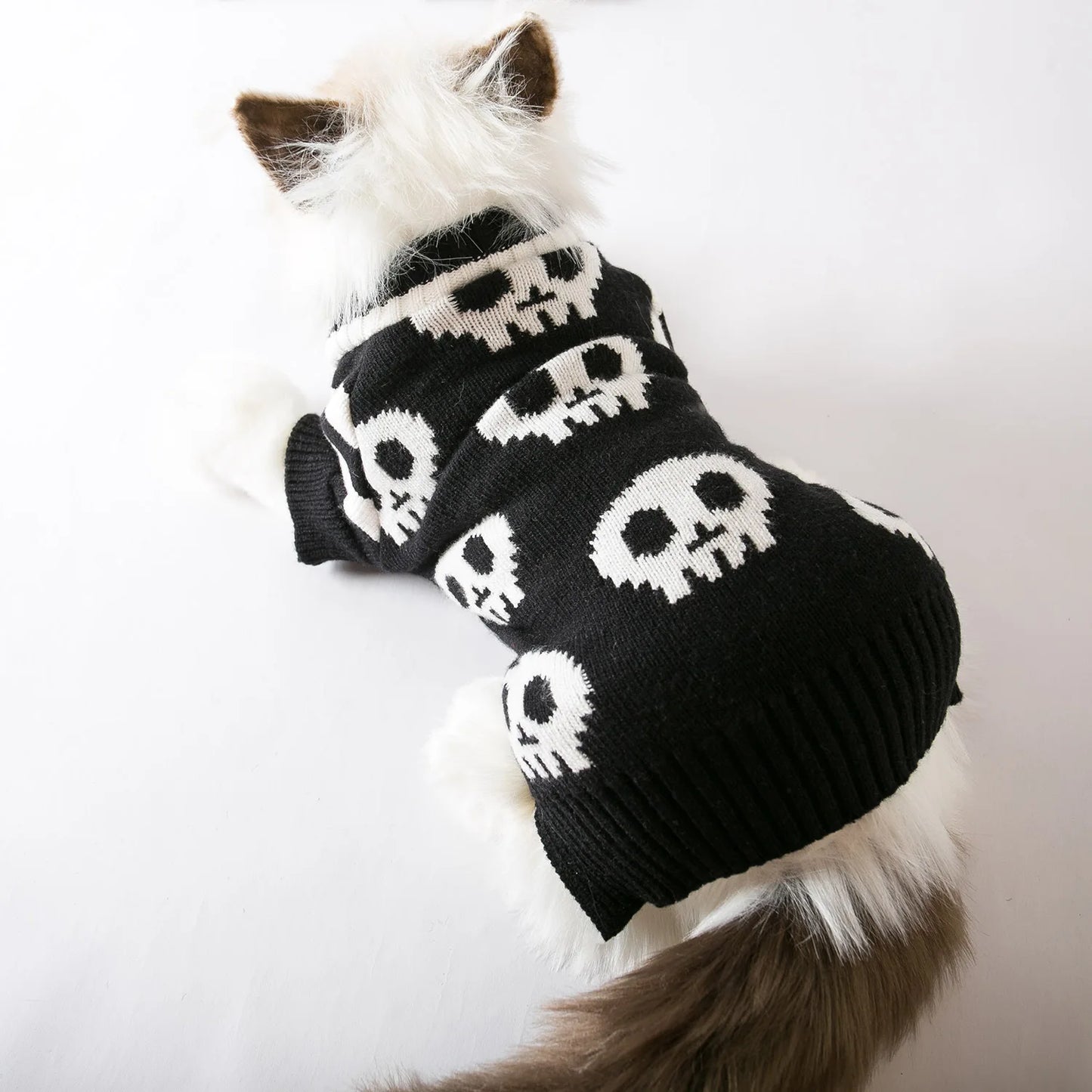 Pull en tricot Crâne d'Halloween pour chats et chiens