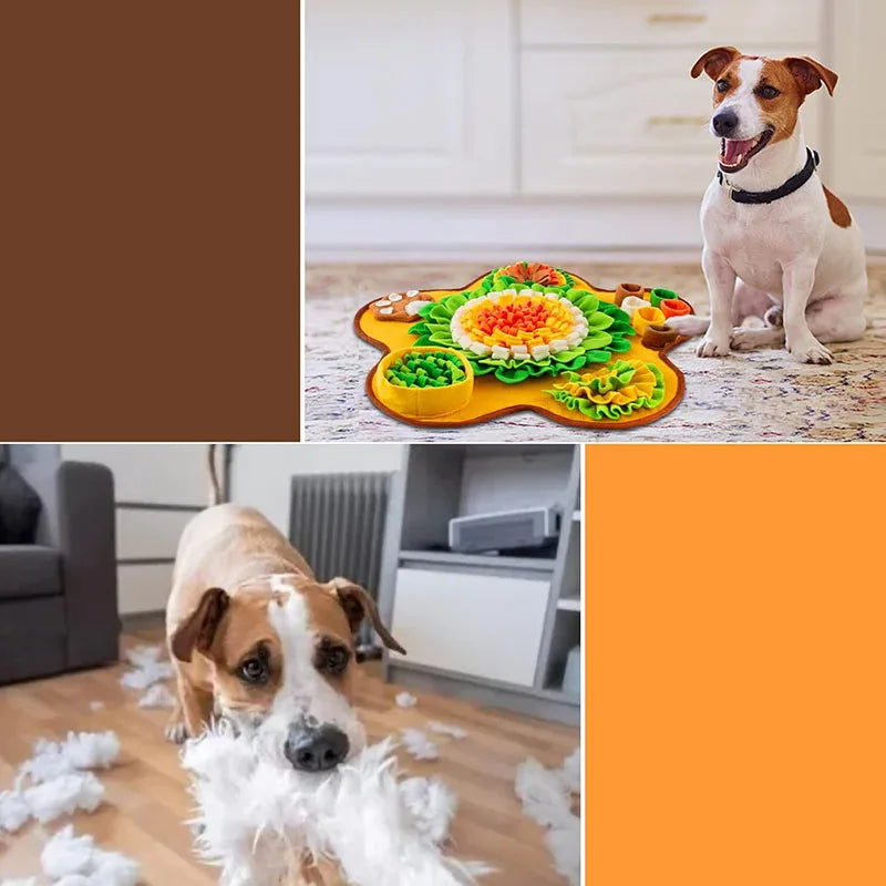 Tapis de fouille interactif pour chiens — Gamelle anti-glouton et d'enrichissement