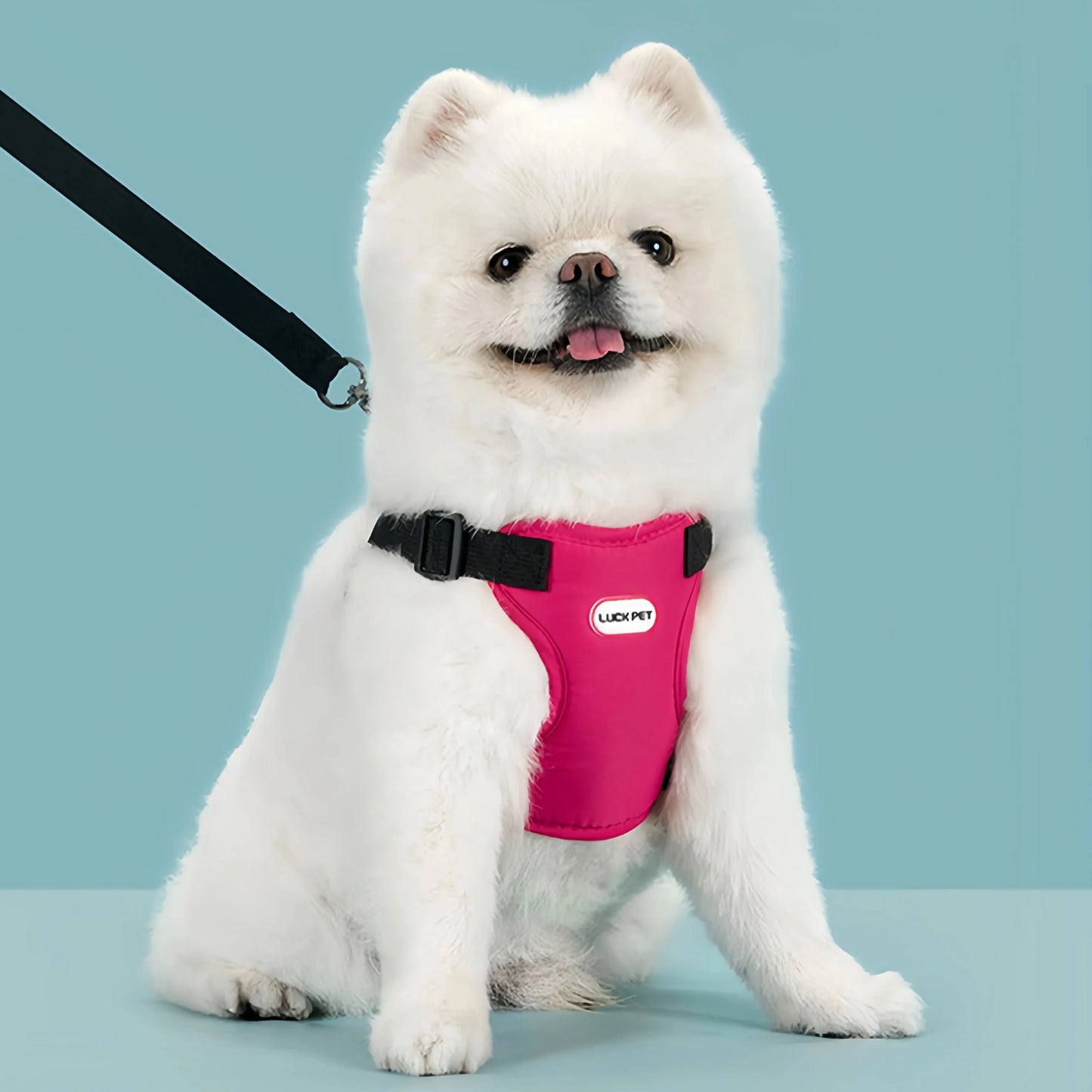 Breathable Vest Harness & Leash Set for Small Dogs