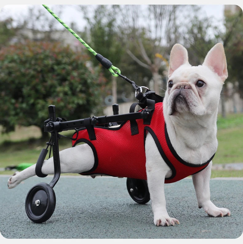 Dog Rehabilitation & Mobility Support Harness – Chest & Back Lifting Aid for Disabled & Recovering Dogs