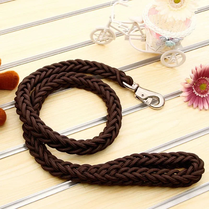 Laisse pour chien en nylon robuste (130 cm)