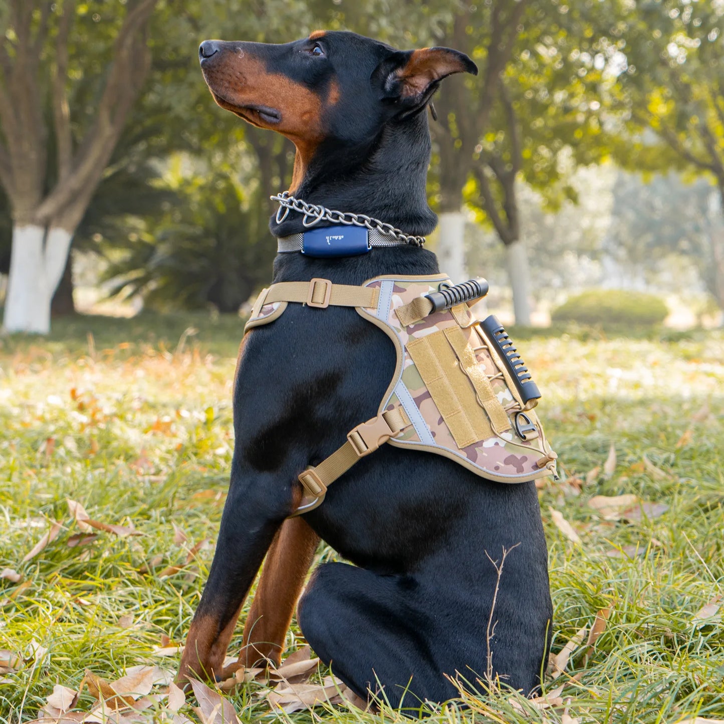 Tactical Dog Harness for Large Dogs