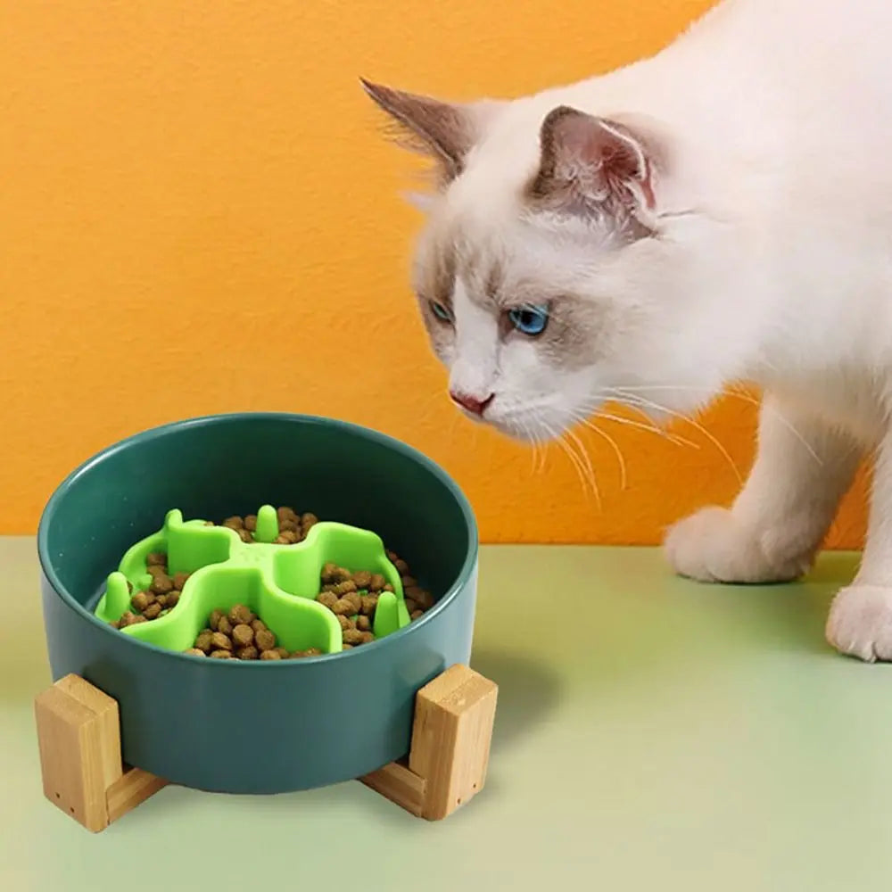 Silicone Slow Feeder Bowl Insert with Suction Cups