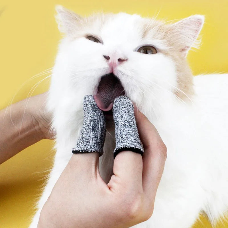 Ensemble de brosses à dents à doigt pour animaux (5 pièces)
