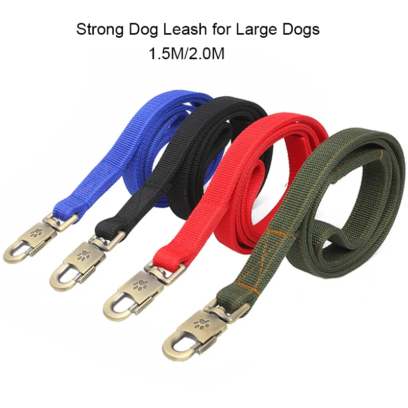 Ensemble laisse et collier pour chien en nylon robuste