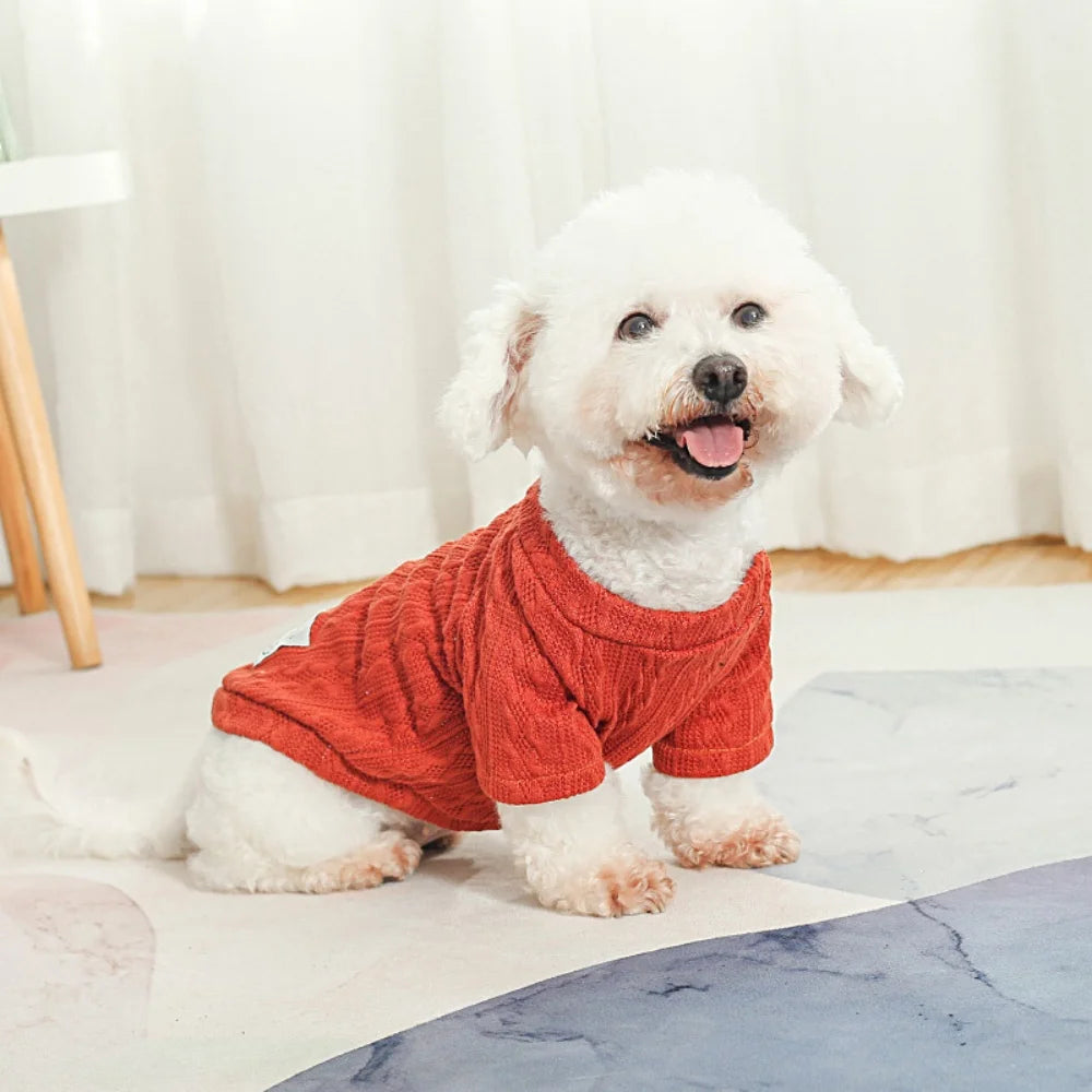 Long-Sleeve Knitted Pullover Sweater for Cats & Small Dogs