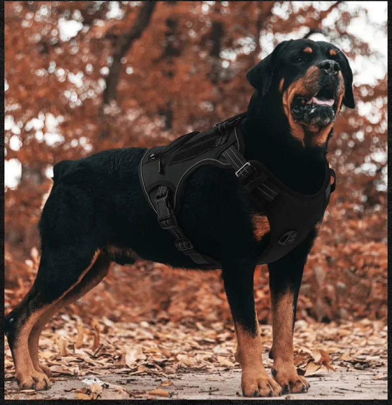 Harnais tactique anti-traction réfléchissant pour chiens de taille moyenne et grande