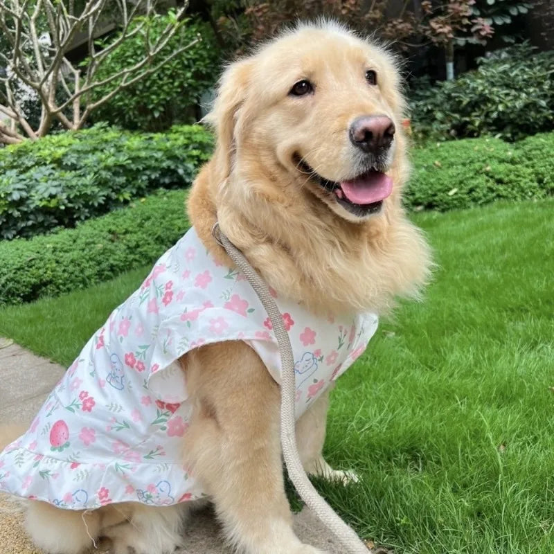 Robe de princesse rafraîchissante et gilet d'été pour chiens de taille moyenne et grande
