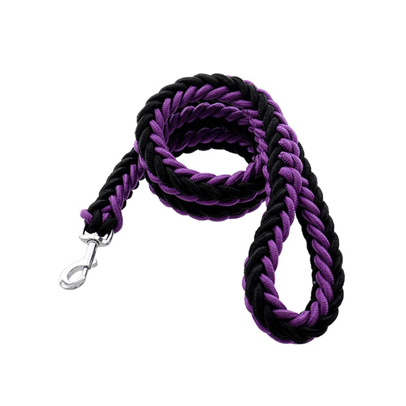 Heavy-Duty Nylon Dog Lead