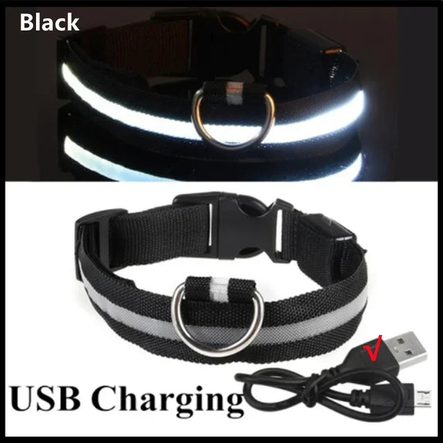 Collier lumineux LED pour chien - Réglable, clignotant, rechargeable - Collier lumineux pour la sécurité nocturne - Harnais lumineux anti-perte pour chien