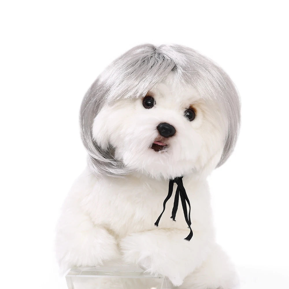 Pet Halloween Wig - Curly & Straight Hair Costume Accessory for Dogs & Cats