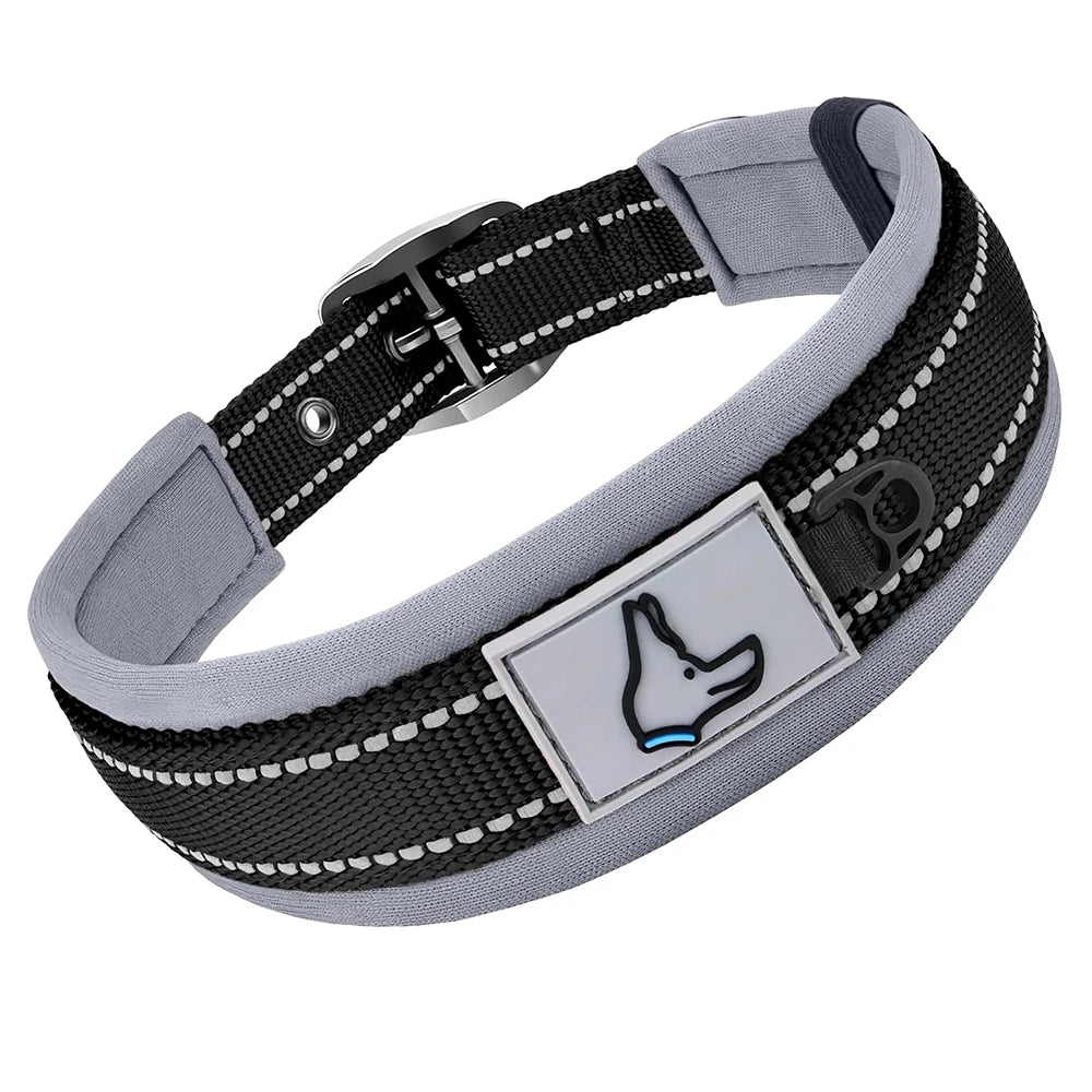 Padded Reflective Nylon Dog Collar – Adjustable for Small, Medium & Large Dogs