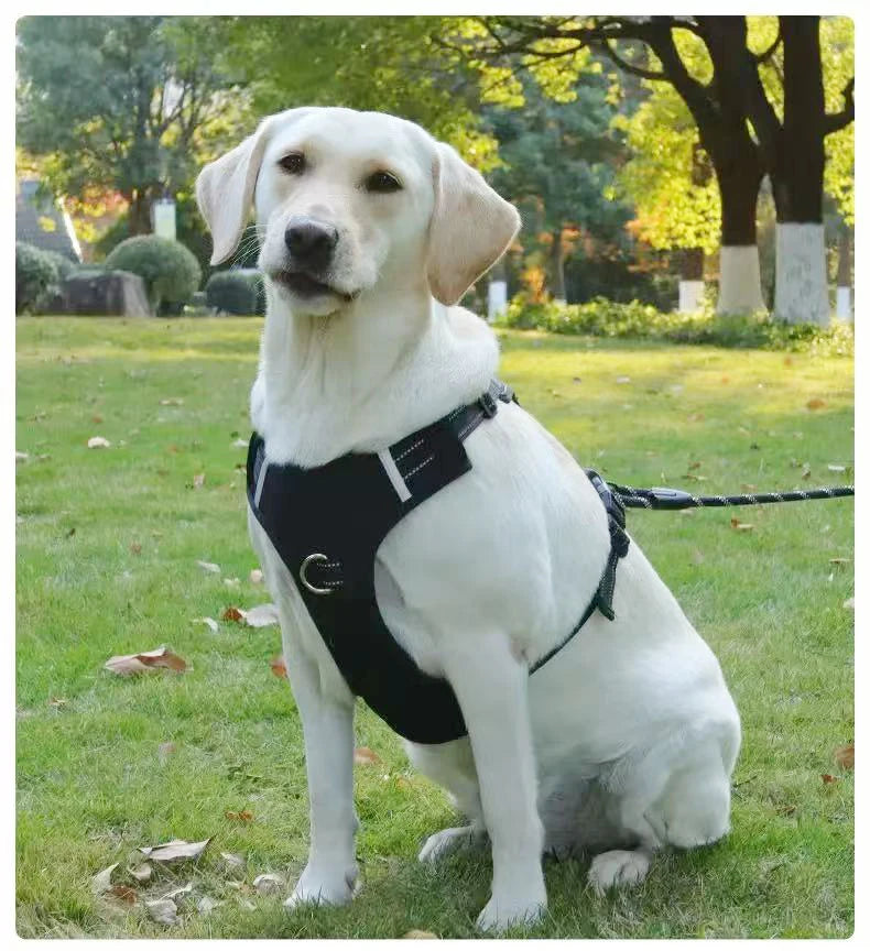 Reflective No-Pull Dog Vest Harness with Name Card