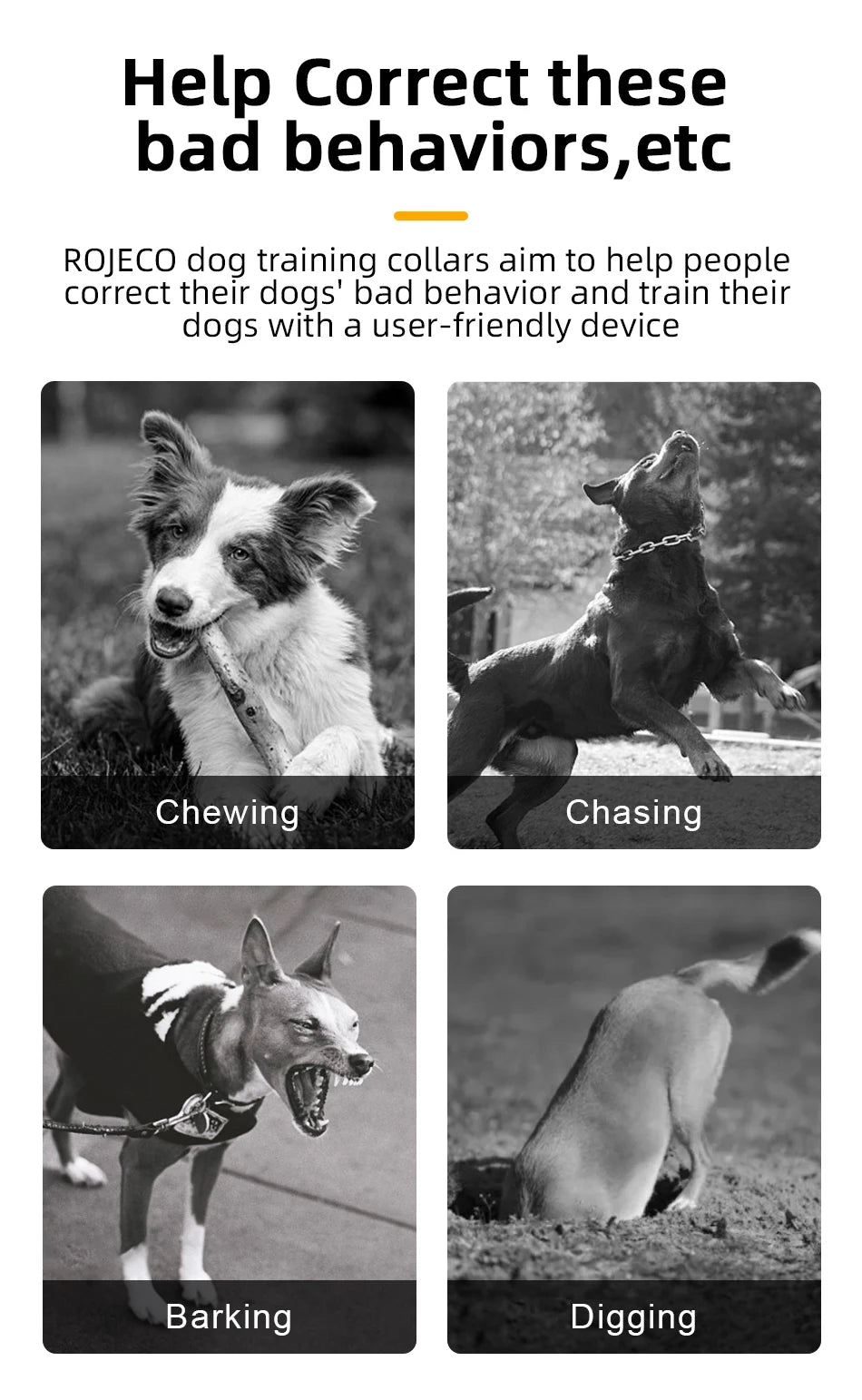 Remote Dog Training Collar — 3300ft Range, Waterproof with Vibration & Bark Control
