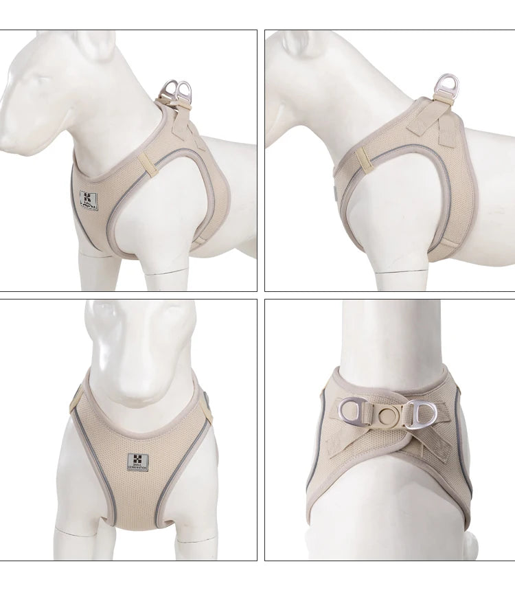 Reflective Dog & Cat Harness with Leash Set