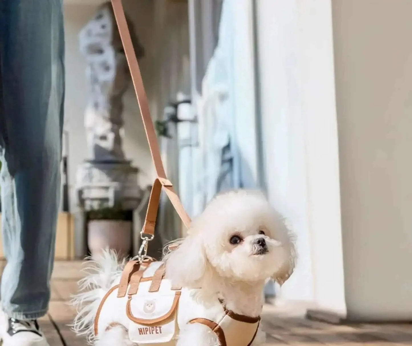 Sac de transport pour animaux de compagnie avec design de sac à dos