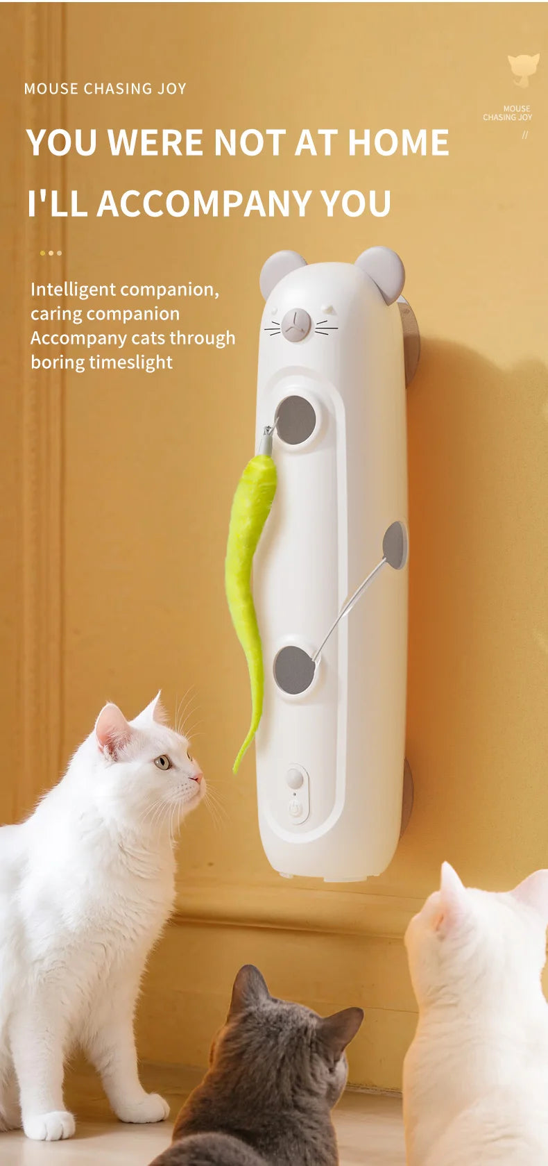 Interactive Caterpillar Cat Toy