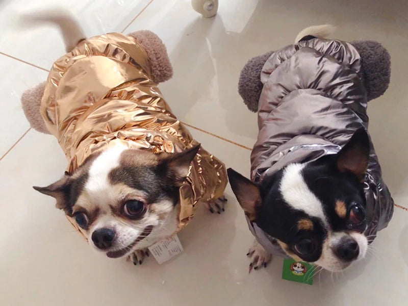 Winter Down Jumpsuit for Small Dogs | Padded All-in-One Dog Coat