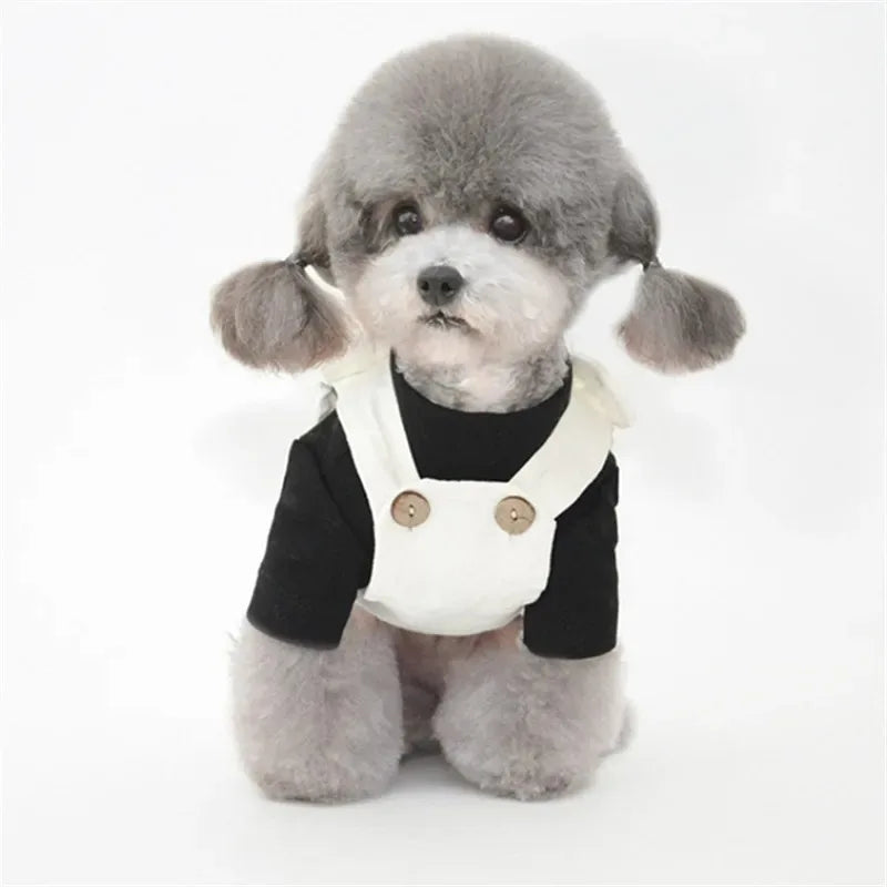 Chemise d'été pour chien - Vêtement léger pour animal de compagnie