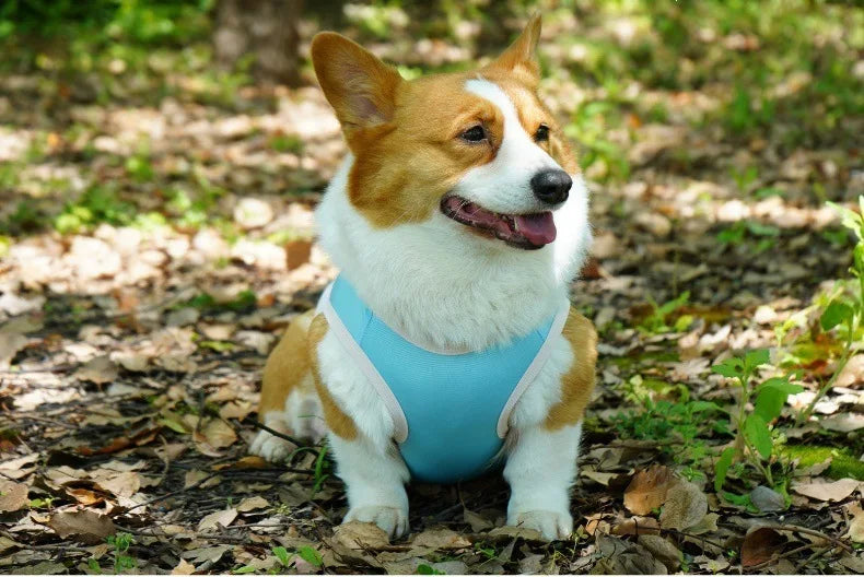 Ice Silk Cooling Vest with Sun Protection for Dogs & Cats