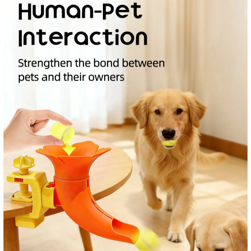 Clamp-Mounted Dog Ball Trainer