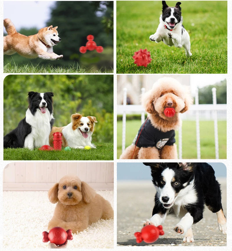Bite-Resistant Chew Toys for Dogs