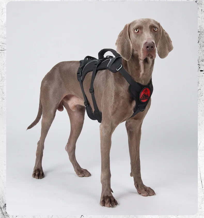 Harnais Tactique Militaire pour Grands Chiens