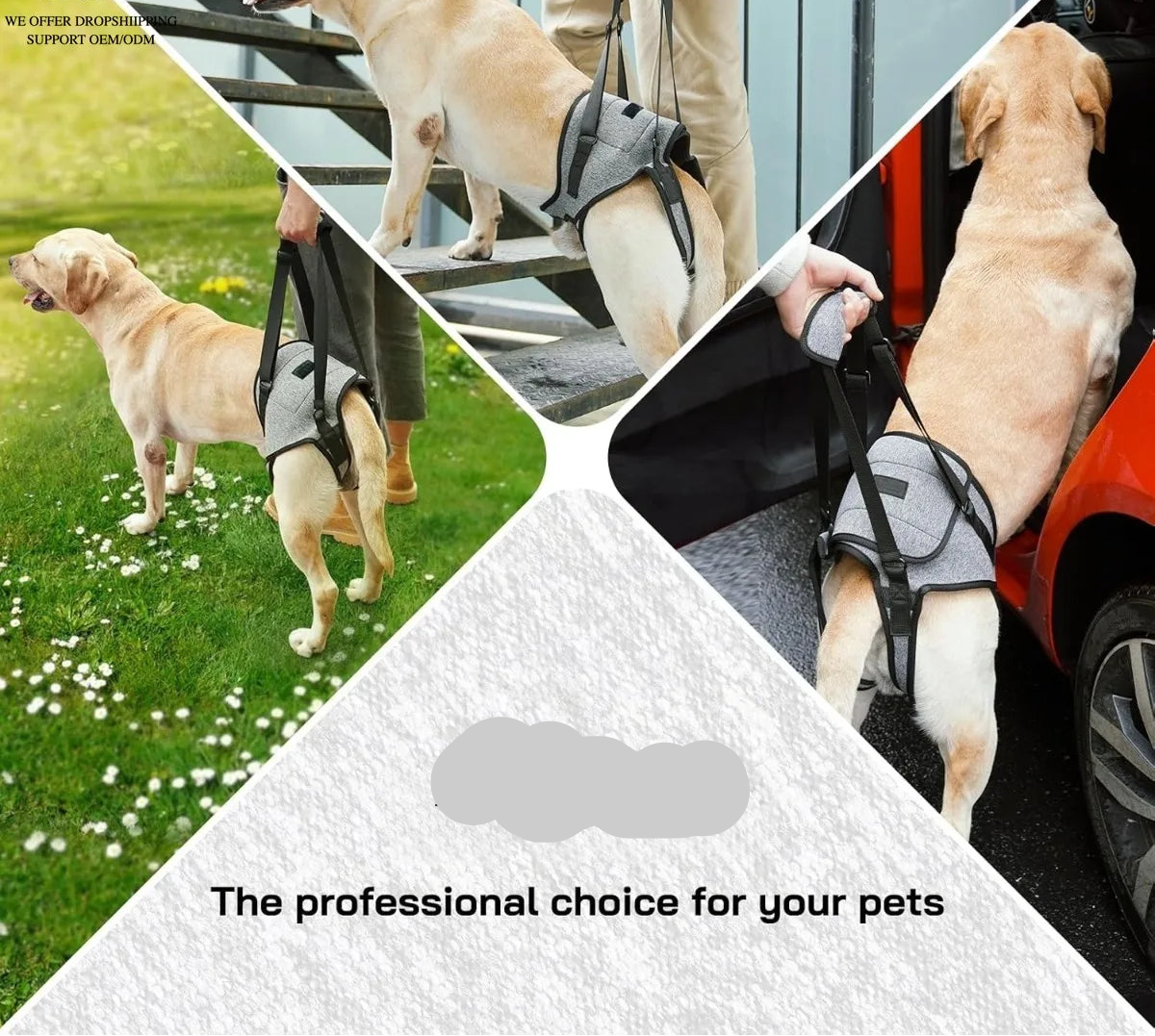 Rear Support Dog Lift Harness for Elderly, Injured & Arthritic Dogs