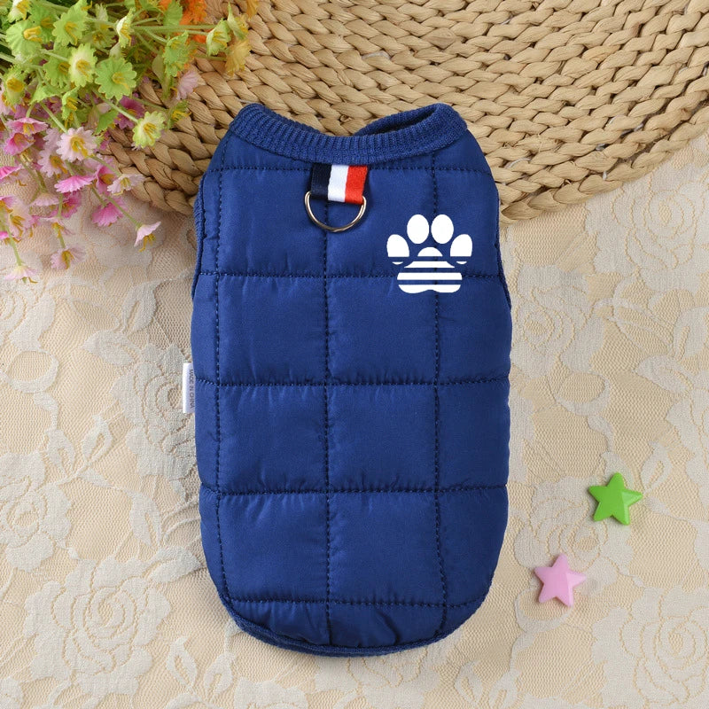 Windproof Padded Dog Coat for Small Dogs