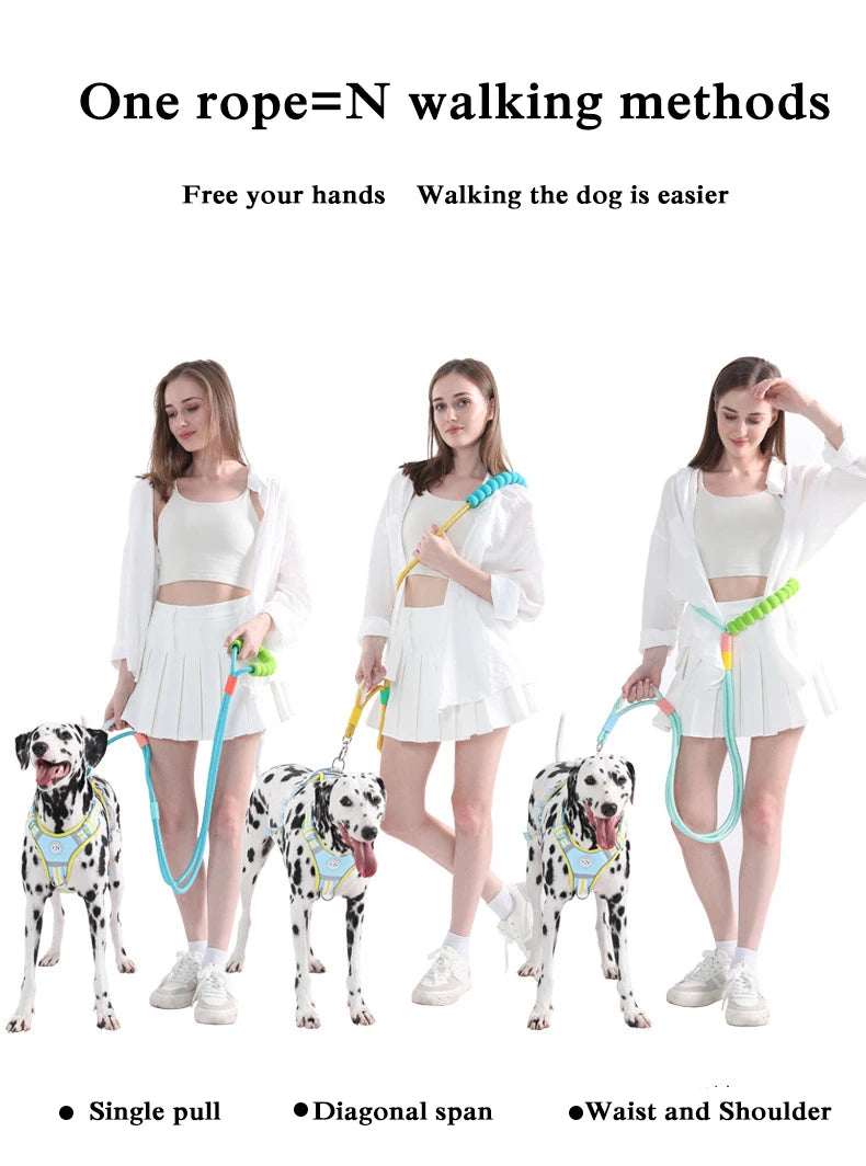 Anti-Slip Nylon Dog Lead — Lightweight & Wear-Resistant
