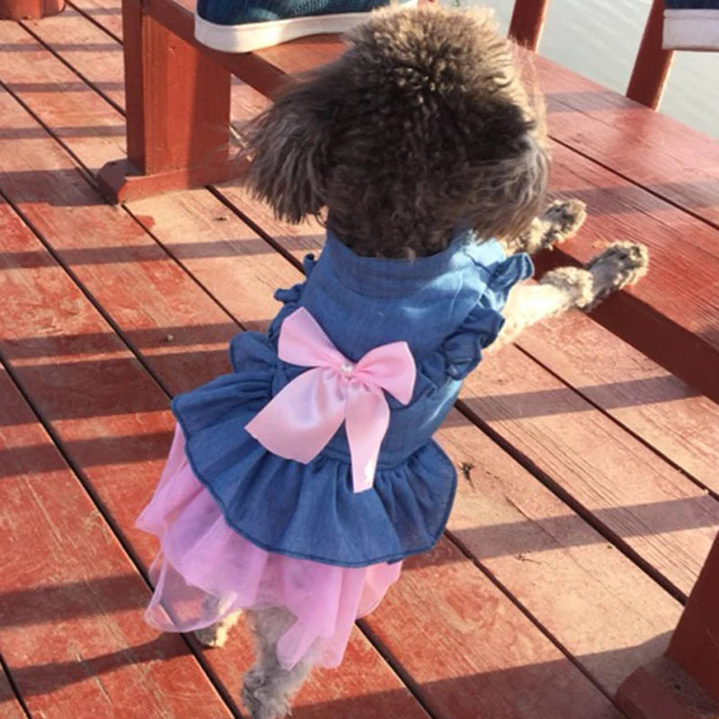 Denim Princess Dress for Small Dogs & Cats — XS to XXL